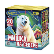 Мишка на севере.