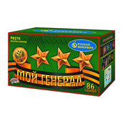 Мой генерал.