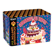 Вишенка на торте.