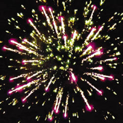 Бизнес класс.