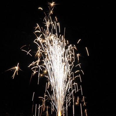 Букет фиалок.