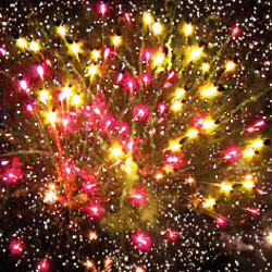 Крутые перцы.