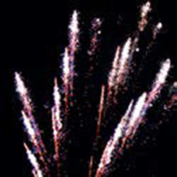 Любовь и г олуби