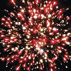 Мишка на севере.