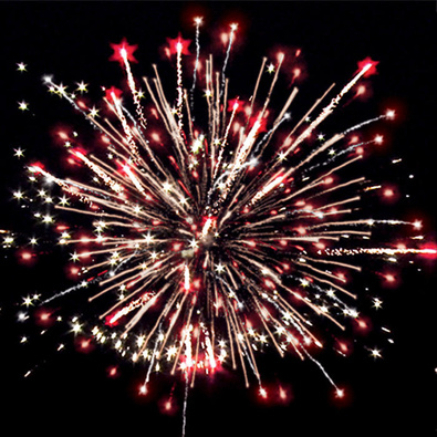 Мишки на севере.