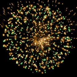 Новогодние цветы.