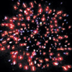 Праздник к нам приходит