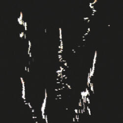 Танцуют все!