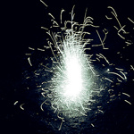 Веселый жук