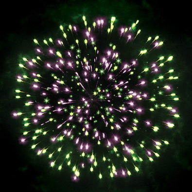 Зимняя вишня.